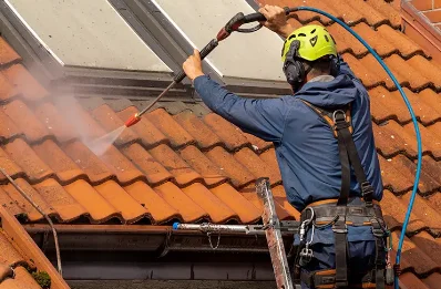 Démoussage et hydrofuge de toiture à Tardets-Sorholus